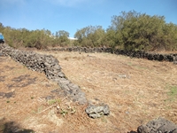 anobello-04032012 100